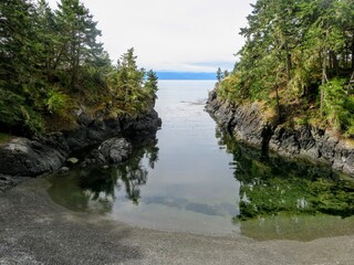 a beautful view of a small secluded bay looking at over the ocean, with the trees reflecting on the...