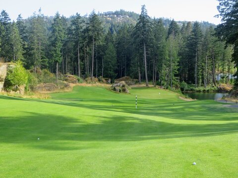 Golf balls sitting on a beautiful green undulated fairway near the 150 yard marker, to a downhill green surrounded by a lake and forest and giant rock.  A beautiful par 4.
