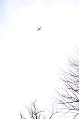plane in the sky