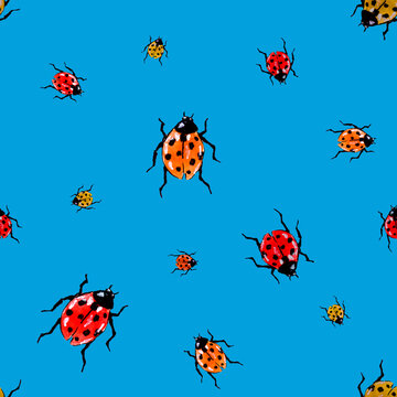 Ladybugs on the blue background