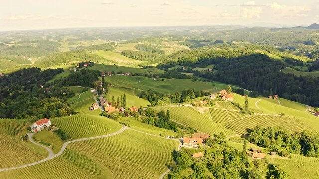 Aerial view of Austrian Vineyards in South Styria. Travel spot near Gamlitz, Austrian Tuscany. Region famous for white wine.
