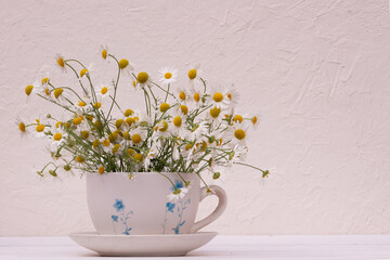 Fototapeta na wymiar wild white daisies on a white wooden background. flower composition