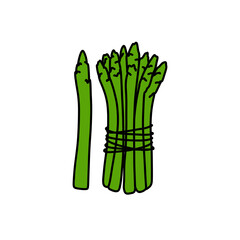 asparagus doodle icon, vector color line illustration
