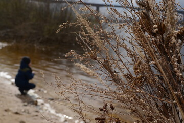 walking by the river