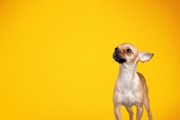 Adorable.
