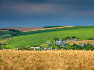 Obraz premium view to real ukrainian landscape with yellow wheat field, church and blue sky with copy space