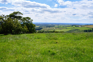A grassy meadow in the Yorkshire Wolds overlooks a green valley on a sunny day in England