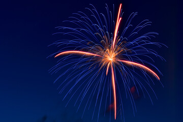 Pyrotechnics explode brilliantly in the night sky to celebrate independence day.


