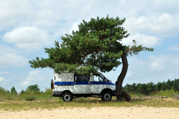 A police van under a lonely pine tree.