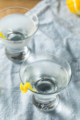 Boozy Refreshing Gin Martini