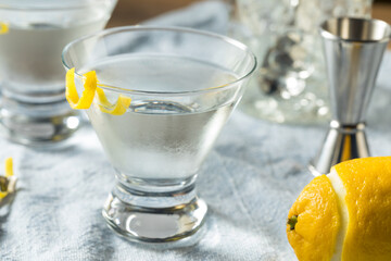 Boozy Refreshing Gin Martini