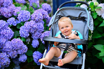 Petite fille aux hortensias