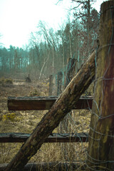 fence in the woods