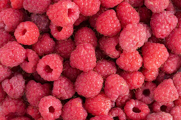 raspberries texture background. Fresh raspberries berries background