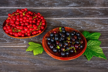 red and black currants in wooden plates on a wooden background close-up. currant berries on the table.