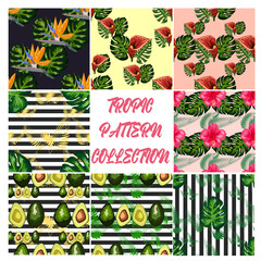 amazing tropical pattern. intricate Palms and hibiscus, botanical