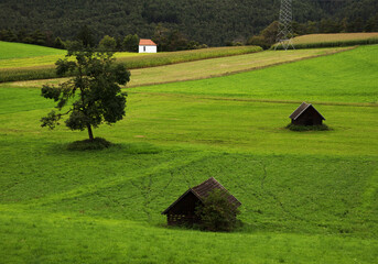 Alpine landscape of Bavaria, Germany, Europe