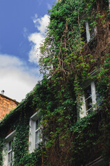 old houses in gdansk