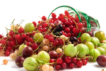 Red, black and white currants are isolated. Berries on a white background. Gooseberries are green and red. Assorted berries. Currant on a branch.