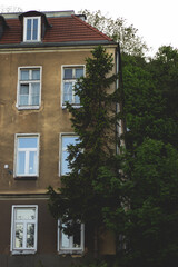 old house with windows