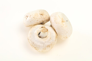 Raw Champignon heap for cooking