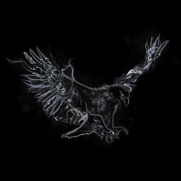 Photo Illustration of an eagle formed with smoke photography
