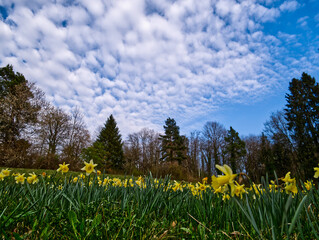 Obraz premium PIC62903-a