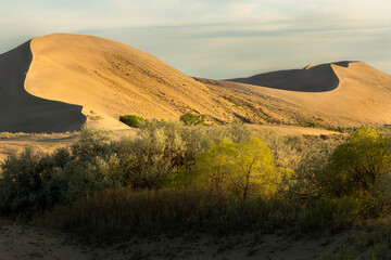 Fototapeta premium Bruneau Sand dunes, Idaho