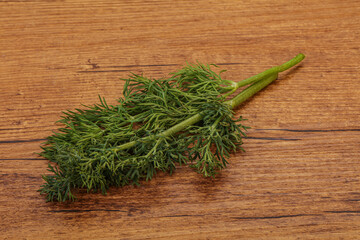 Aroma seasoning - Green Dill branch