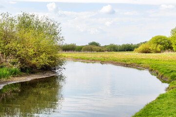 Fototapeta premium Wild river on the meadow.
