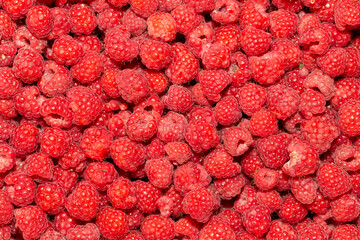 Background of ripe red raspberries. Vitamin Dessert.