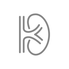 Human kidney line icon. Healthy internal organ symbol