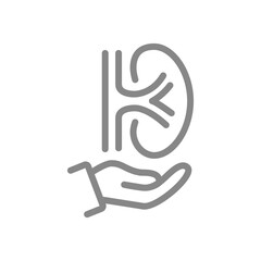 Human kidney on hand line icon. Rescue, treatment, disease prevention symbol