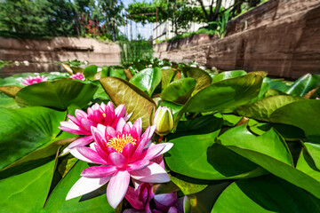 Fototapety na wymiar - Fototapeta24.pl