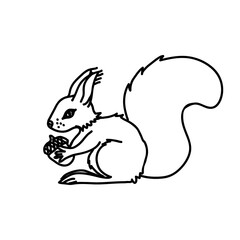 Squirrel holding an acorn vector illustration. Hand drawn forest animal