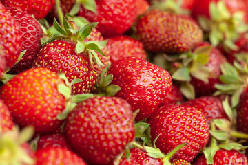 Lots of strawberry view from above, use as background or texture