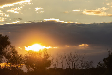 sunset over trees, the rays of the sun through the clouds