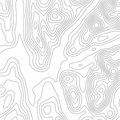 Abstract Topographic Contour Map Template. Abstract composition of black circles and lines on a white background. EPS10 Vector