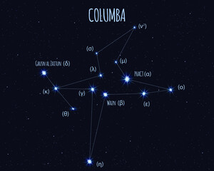 Obraz na płótnie Canvas Columba (The Dove) constellation, vector illustration with the names of basic stars against the starry sky