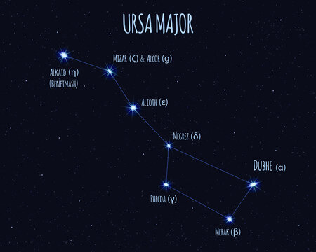 Ursa Major (Great Bear, Big Dipper) constellation, vector illustration with the names of basic stars against the starry sky