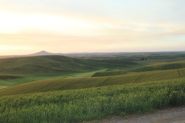 Palouse sunset over the field