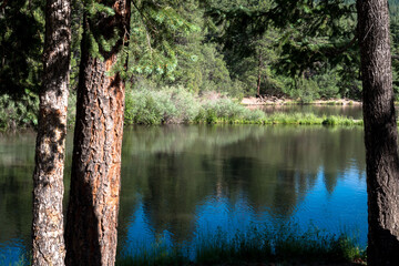 Dawn light on the Cimarron River in Cimarron Canyon State Park in New Mexico