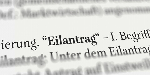 Eilantrag im Buch