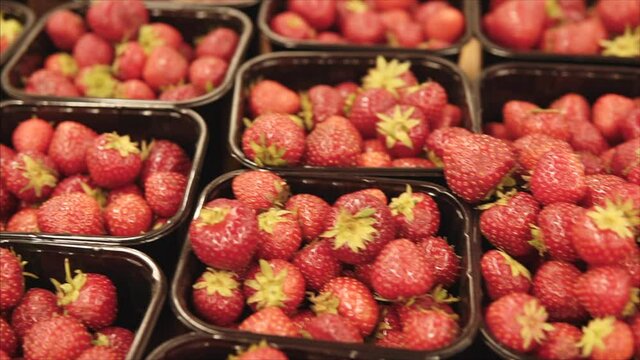 Fresh organic strawberries on the shelves of the supermarket's grocery department.