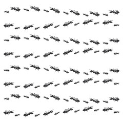 Ant vector illustration design