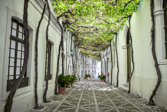 romantic walkway