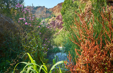 Beautiful landscape with a small river and the sun's rays on the trees and mountains in the...