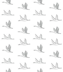 Vector seamless pattern of hand drawn doodle sketch flying crane bird isolated on white background