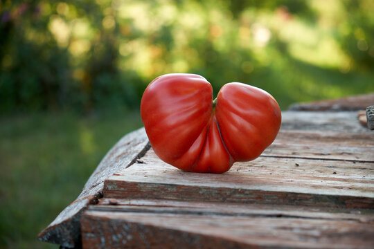 Herztomate
