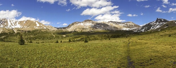 Fototapeta na wymiar Molar Pass Alpine Meadows Wide Panoramic Landscape on a great Summertime Hiking and Backpacking Trail in Banff National Park, Canadian Rocky Mountains 